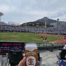 316 | 롯데자이언츠 사직야구장 3루내야필드석 316블럭 7열 시야 후기 롯데 바람막이