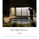 서리어 이미지