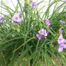 승리하는교회 앞 이미지