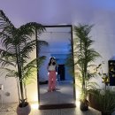 조GYM 이미지