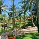 탁구-F | 호치민 무이네 리조트 추천 판다누스 리조트 조식 객실 후기