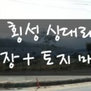 상대리[동] 티스토리