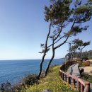 중문관광단지 이미지