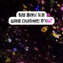 조아플래닛