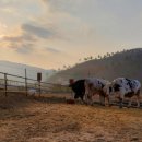 달뜨는마을 이미지