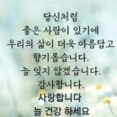 범표신발 - 영천시 시장4길 30 | 범표신발