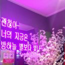 코인쏭 노래연습장 이미지