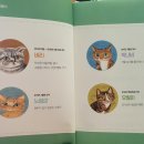 묘한인연 이미지