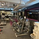 고릴라짐 이미지