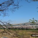 장모루공원 이미지