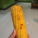 비스타힐펜션 이미지