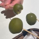 치비치비 이미지