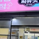 엘리자펫 이미지