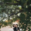 어바웃제인 이미지