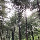 추동캠프 이미지