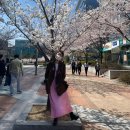 호키소프트 | [일기장] 보잉 7️⃣7️⃣7️⃣ 컨버전