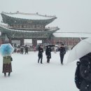 크헉! 내일 많은 눈 예보 이미지