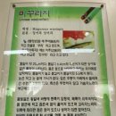 원주추어탕전문점미추 이미지