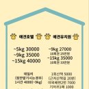 도그 포레스트 이미지