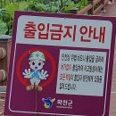 서오지리 | 화천토마토축제장 가는 길목 서오지리 연꽃단지