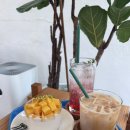 템퍼러리 이미지