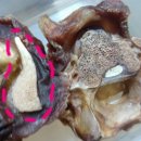 피드미(Feed Me) 이미지