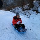 강원도힐링캠핑장 이미지