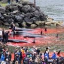 바다와고래 이미지