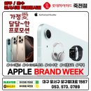 죽전정