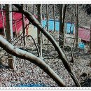 지리산 휴가 민박 이미지