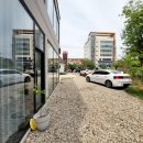 파이달램 이미지