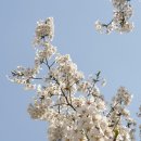 가락생태공원(2) 이미지