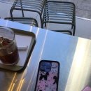 와일드 플라워 케이스 직구 후기+꿀팁🍯(로제, 지수, 두아리파,벨라 하디드••• 착용😍)📱🤳wildflower...