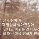 이쁜나무 이미지