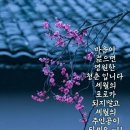 트윈 플리오 (실버벨) 이미지