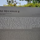 개천사 부도군 이미지