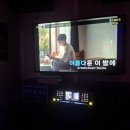 리&최 헤어뱅크 | 8만 관객_Ed Sheeran_6시간의 퍼포먼스 👍 @ Accor Stadium