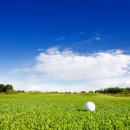 TM골프클럽 이미지