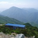 가지산 - 중구 | 가지산