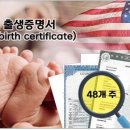 미국 출생증명서 아포스티유 발급 대행 | Us birth certificate apostille 이미지