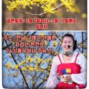 청이각설이-구례산수유축제 공연일정 이미지