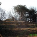 정정옹주 묘 이미지