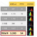 플리커프리 식물등 식물전파사 내돈내산