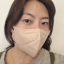 자연환경(유) | [천안 불당동 유오리] 속눈썹 노글루펌 후기💖인생 속눈썹완성!