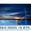 한국전력공사(에너지신기술연구소)