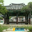 영광 침류정 이미지