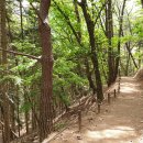 치악산둘레길 2코스 구룡길 이미지