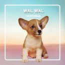 피자스쿨 광진구청점 | 2025 엔터비즈니스 마스터 클래스 3기 - 5주차