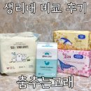입는오버나이트 대형 춤추는고래 롱팬티라이너까지 비교 후기