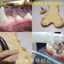 크라운 동물병원 이미지